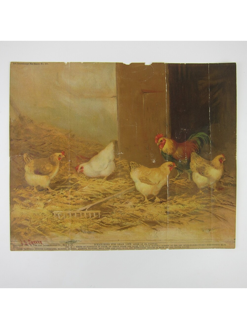 Antique Chromolithograph Print Hens Rooster Pecking JD Sorvey 1893